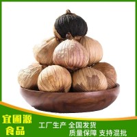 黑蒜獨頭黑蒜金鄉特產發(fā)酵即食煲湯批發(fā)零售軟糯酸甜黑大蒜